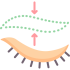 eyelid_5154877 eyelid_5154877