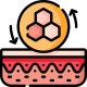 skin-regeneration_11009073.png